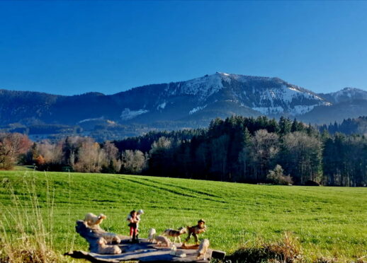 427641a2-44d4-4af1-b8a8-81a665523f96