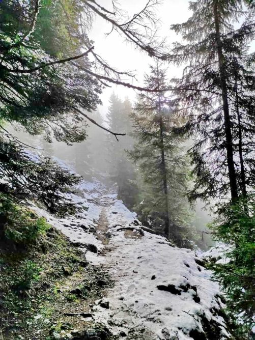 51ad5585-9495-41f0-96bc-0655771ea9eb