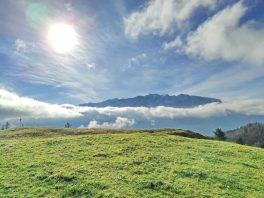 5ec5f72e-197e-4cdc-95ff-cbdea90a99e2