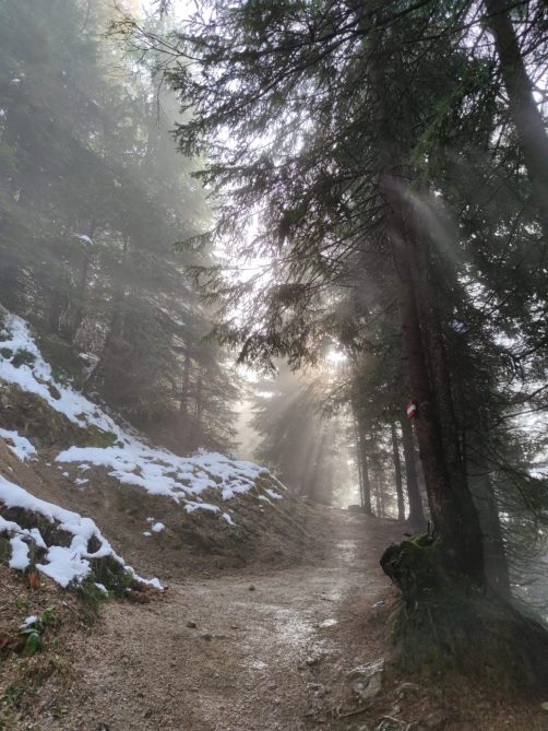 6983b377-f944-4504-ba80-40a89a7432b9