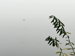 736af276-d83b-4faf-bfe8-346baacb8f53