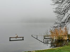 78544303-41bf-4075-a43e-c762af1aa255