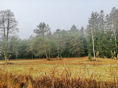 7d09d6b7-e701-4537-8529-71fcdaa1da73