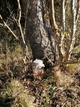 891e570f-2b4f-4cdd-8a85-8a862ef0b3fe