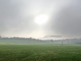 92280064-1790-415e-adbe-a341c2390ded