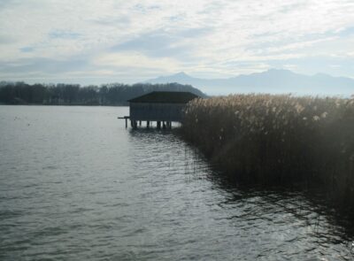 Ententreff in der Schafwaschener Bucht