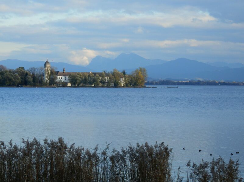 Ententreff in der Schafwaschener Bucht