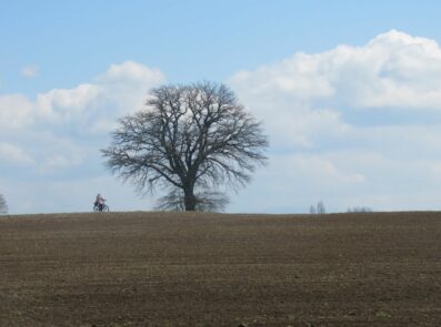 Ententreff in der Schafwaschener Bucht