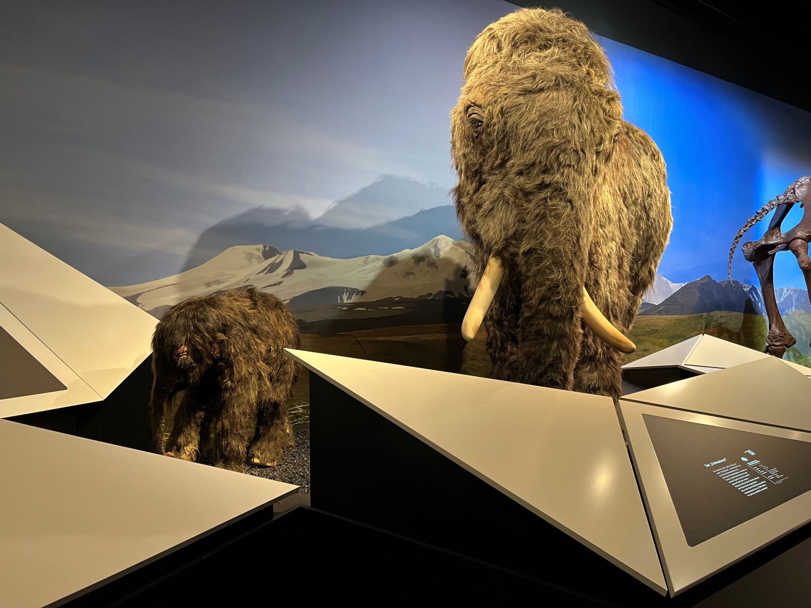 Endspurt bei der EISZEIT – Samerberger Nachrichten