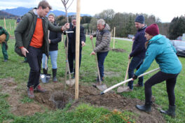 Sorten Erhaltungs Garten Höhenmoos Baum einpflanze_kl