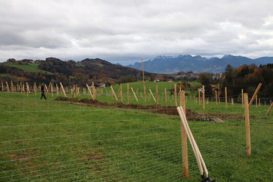 Sorten Erhaltungs Garten Höhenmoos Bergpanorama2_kl