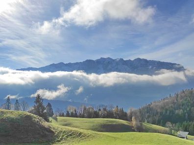 c1f853b0-67b6-4f5e-95f2-08b4b23d5ac2