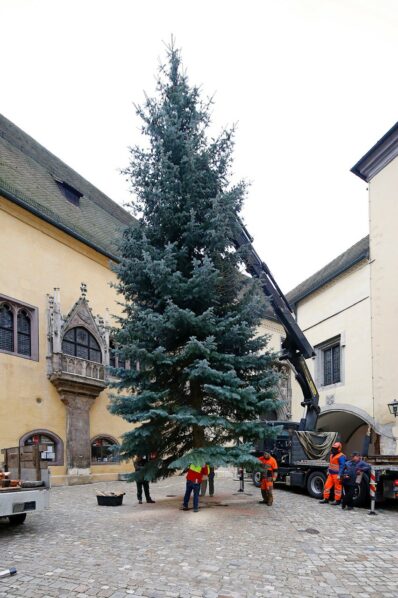 christbaum regensburg 2