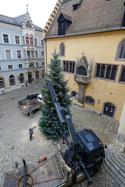christbaum regensburg 3