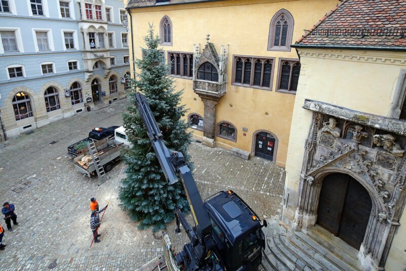 christbaum regensburg