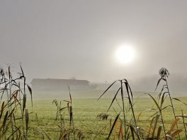 e2bad65b-ae62-4c97-89b6-f3122478fc5f