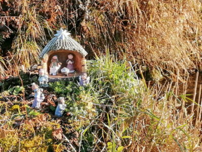 e7ec8184-2253-44a2-b09e-16b464ceced8