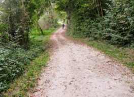 Ententreff in der Schafwaschener Bucht
