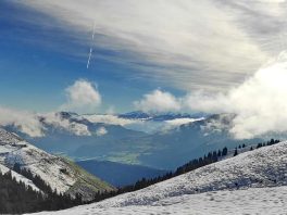 f31be49d-501c-4c83-a8ee-2c7465d57b38