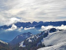 f9652916-36d4-4a5f-b2af-1f1b6b450743