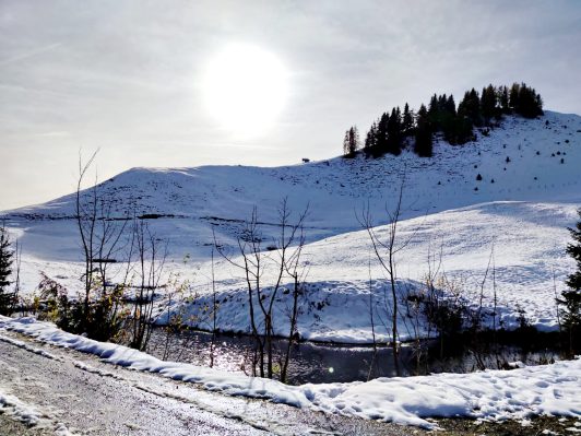 fcf9a78e-b83c-4b8c-be60-39ede0d306d1