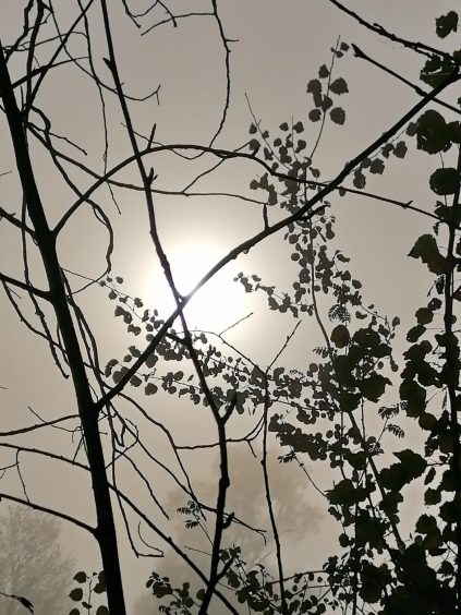 fff08591-d598-45c3-aaf2-1b7f866f667e