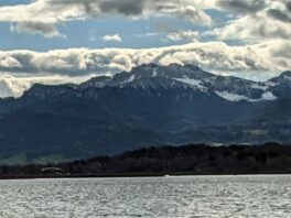 Ententreff in der Schafwaschener Bucht