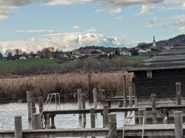 Ententreff in der Schafwaschener Bucht