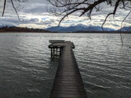 Ententreff in der Schafwaschener Bucht