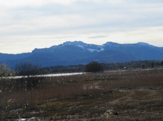 Ententreff in der Schafwaschener Bucht