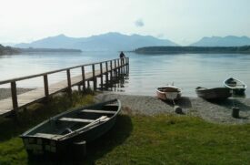 Ententreff in der Schafwaschener Bucht