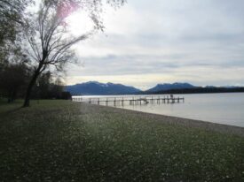 Ententreff in der Schafwaschener Bucht