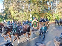 kl-IMG_20221106_101221_226