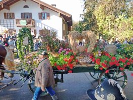 kl-IMG_20221106_101307_640