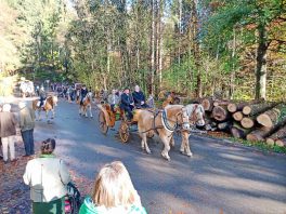 kl-IMG_20221106_101751_255