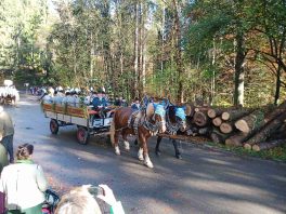 kl-IMG_20221106_101817_178