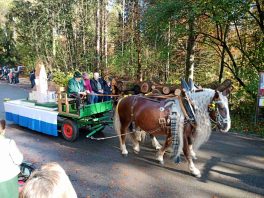 kl-IMG_20221106_101947_196