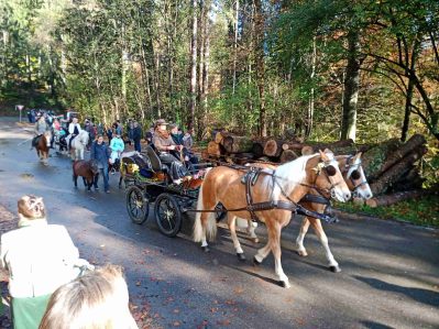 kl-IMG_20221106_102217_038