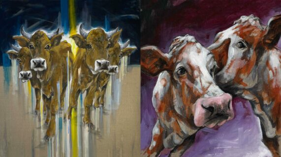 01_Hornochsen23_nebeneinander