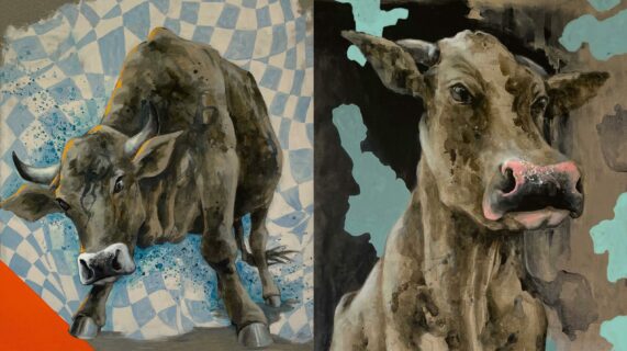 03_Hornochsen23_nebeneinander