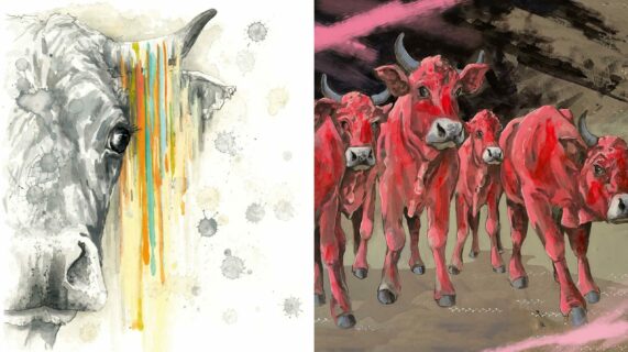 05_Hornochsen23_nebeneinander