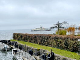 08163678-84ef-4364-9240-2821c6d6e6ad