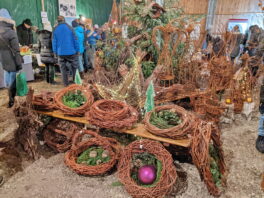 62b31b9d-383e-4b51-86c6-bbe4c2d90a73