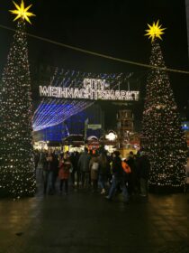 9b589540-97f4-4576-95bc-37946fe0106c