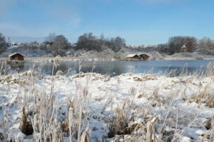 AktNatBeo-221213-ja-3_Ruheplatz_Gaense