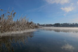 AktNatBeo-221213-ja-7_Ufer