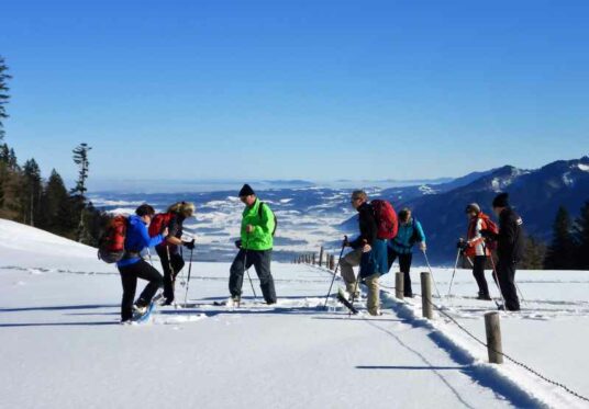 Schneeschuhschnuppern III