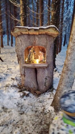 a9c3797b-fb4c-48f5-8889-fd10cf4dab49