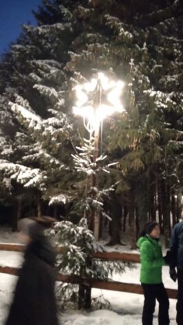 b2bdb024-0394-41db-9cf5-a8f55f856669