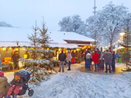 f1330b52-e209-41c6-86da-ff8fd73c47f4